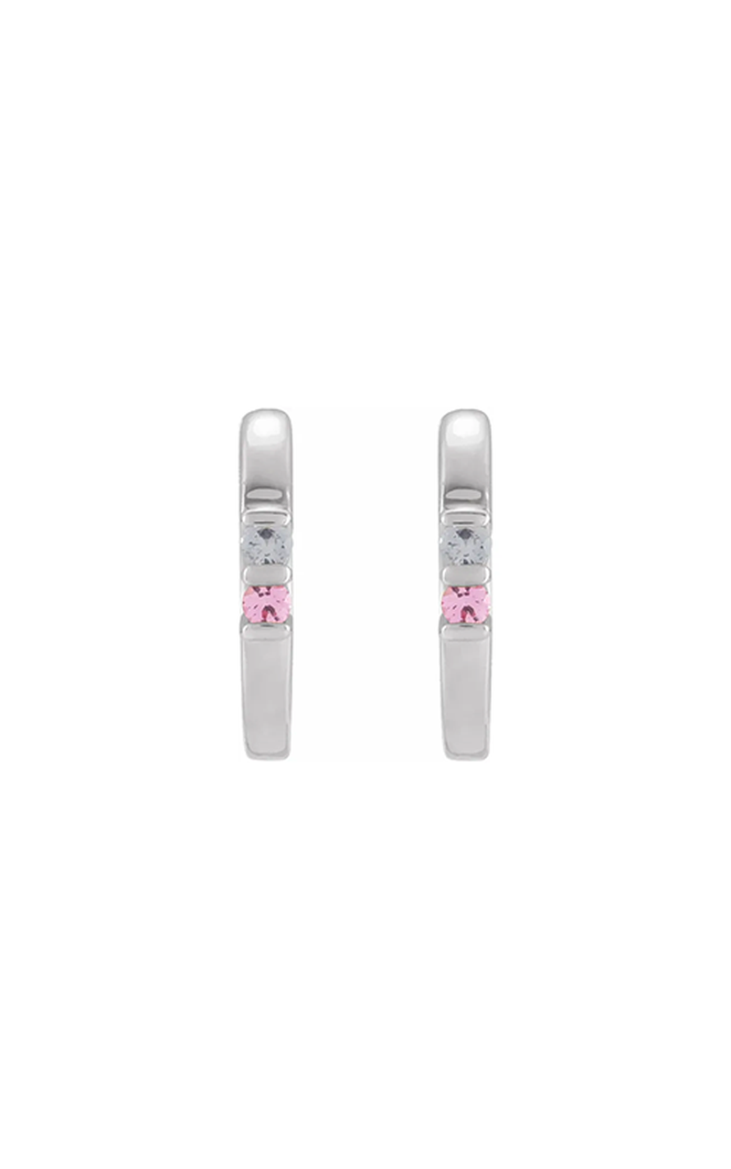 14K White Gold Gemstone Earring
