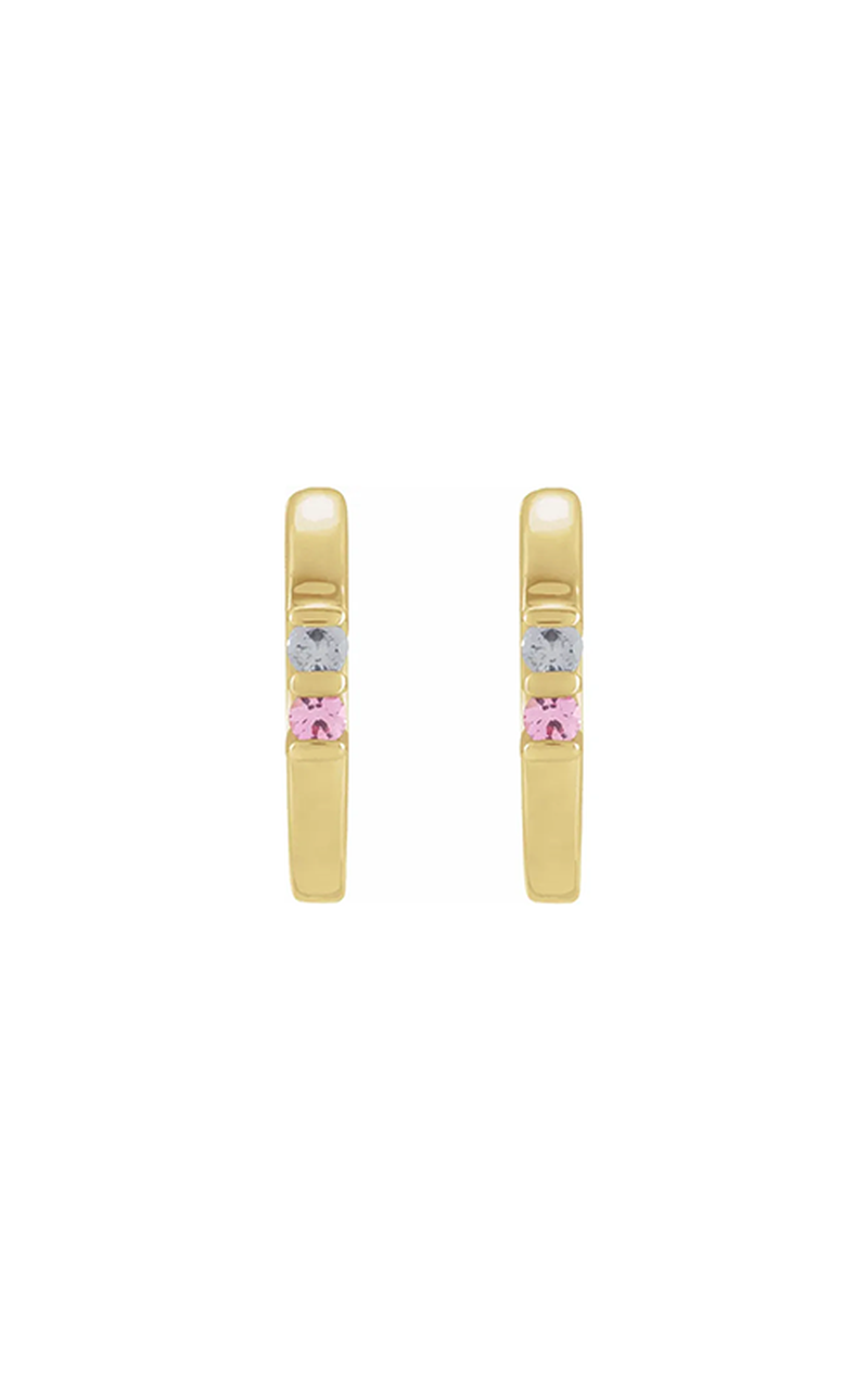 14K Yellow Gold Gemstone Earring