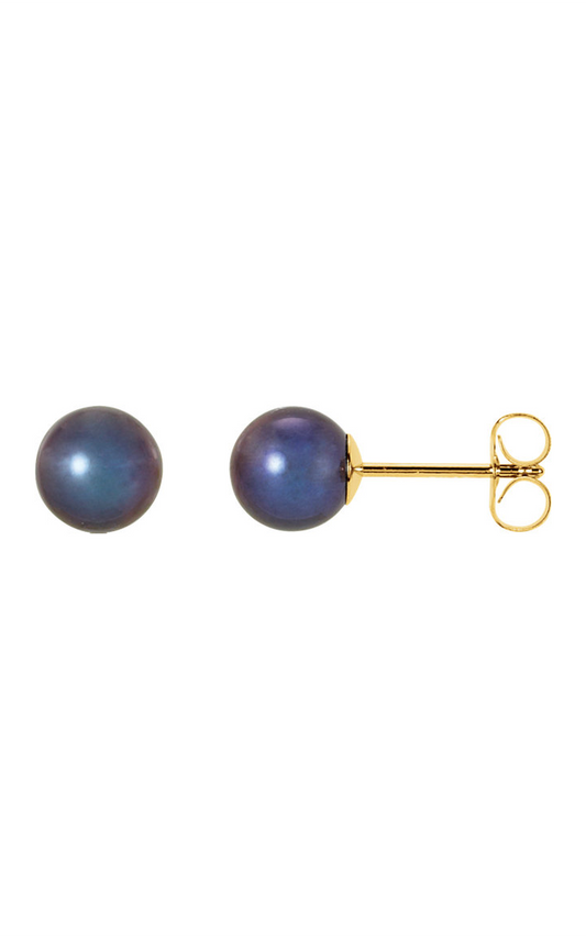 14K Yellow Panache Cultured Black Freshwater Pearl Stud Earrings